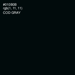 #010B0B - Cod Gray Color Image